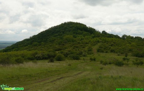 Výhled na Radobýl - Foto Pavel Stančík