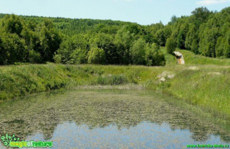 Zavodňování krajiny - oblast Bogatynia (Polsko)