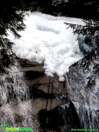 Mumlavský vodopád - Harrachov, Krkonoše - Leden 2014 - Foto Jakub Gregor (2)