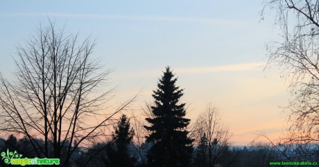 Zimní odpoledne - Foto Radim Váňa