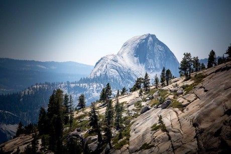 Yosemite NP - Foto Ladislav Hanousek 0325