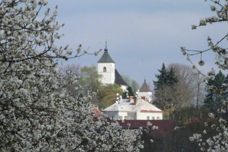 Kvetoucí Vysoké Studnice na Jihlavsku - Foto Ladislav Jonák 0425
