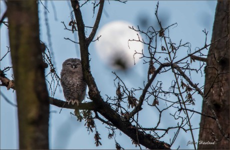 Malí puštíci - Foto Jitka Havlová 0625 (3)