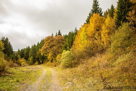 Liptovská Teplička - Foto Jozef Pitoňák 1025 (11)