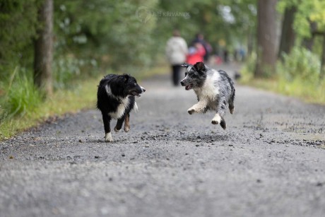 Venčení v přírodě - Foto Jiří Křivánek 1125 (1)