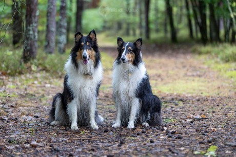 Venčení v přírodě - Foto Jiří Křivánek 1125 (3)