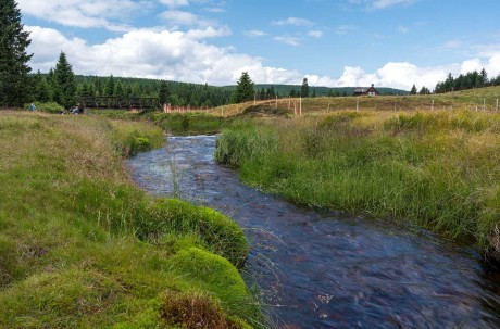 Na Jizerce - Foto Jaroslava Jechová 0725 (3)