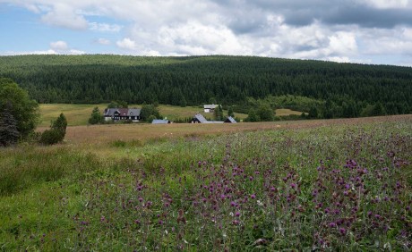 Na Jizerce - Foto Jaroslava Jechová 0725 (4)