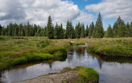 Na Jizerce - Foto Jaroslava Jechová 0725 (5)