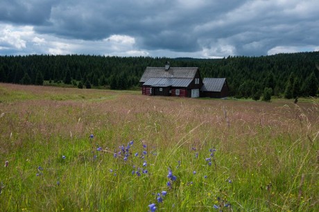 Na Jizerce - Foto Jaroslava Jechová 0725 (8)