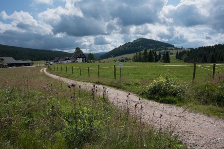 Na Jizerce - Foto Jaroslava Jechová 0725 (9)