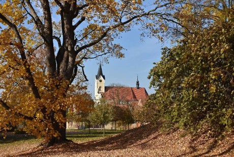 Podzim pod Kosířem - Foto Marie Vykydalová 1125 (1)