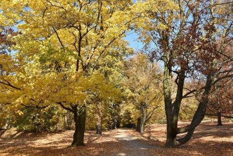 Podzim pod Kosířem - Foto Marie Vykydalová 1125 (5)