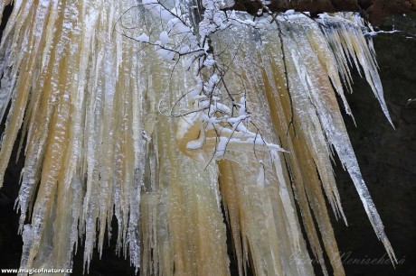 Brtnické ledopády - Foto Irena Wenischová 1225