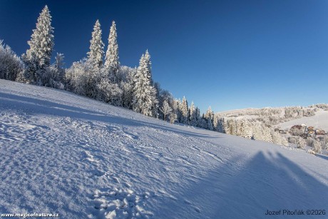 První únorové ráno - Foto Jozef Pitoňák 0226 (1)