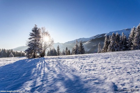 První únorové ráno - Foto Jozef Pitoňák 0226 (2)