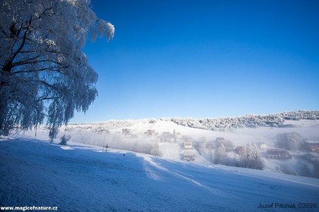 První únorové ráno - Foto Jozef Pitoňák 0226 (6)