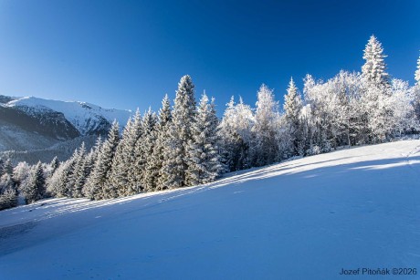 První únorové ráno - Foto Jozef Pitoňák 0226 (9)