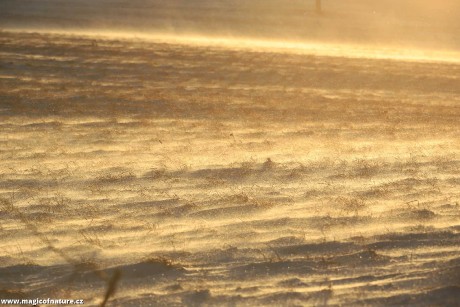 Mrazivo a větrno - Foto Ladislav Jonák 0126 (2)