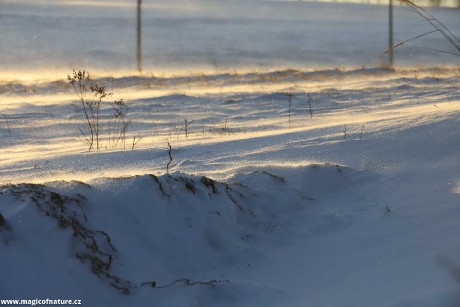 Mrazivo a větrno - Foto Ladislav Jonák 0126 (3)