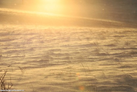 Mrazivo a větrno - Foto Ladislav Jonák 0126 (4)