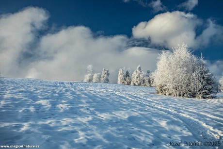 Vládne paní Zima - Foto Jozef Pitoňák 1225 (6)