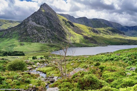 Snowdonia - Wales - Foto Jana Ježková 0725 (4)