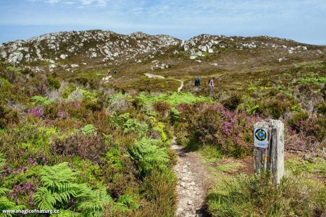 South and North Stack - Holyhead -  North Wales - Foto Jana Ježková 0725 (4)