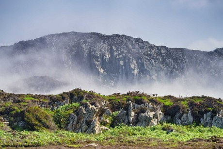 South and North Stack - Holyhead -  North Wales - Foto Jana Ježková 0725 (11)
