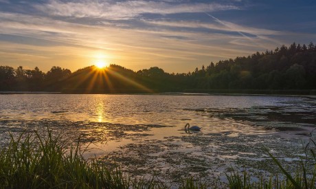 Svítání u rybníka v Chrastné - Foto Jaroslava Jechová 0923 (1)