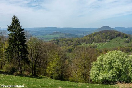 Louka mezi Zlatým a Stříbrným vrchem - Foto Petr Germanič 0426