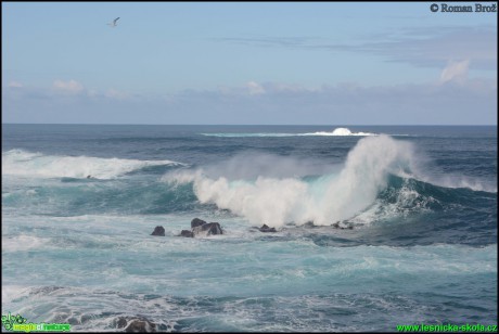 Madeira - pobřeží u Porto Monitz - Foto Roman Brož (17)