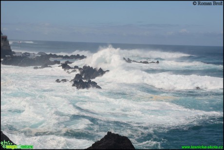 Madeira - pobřeží u Porto Monitz - Foto Roman Brož (19)