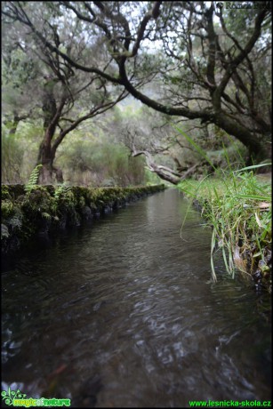 Madeira - vodopád - Foto Roman Brož (15)