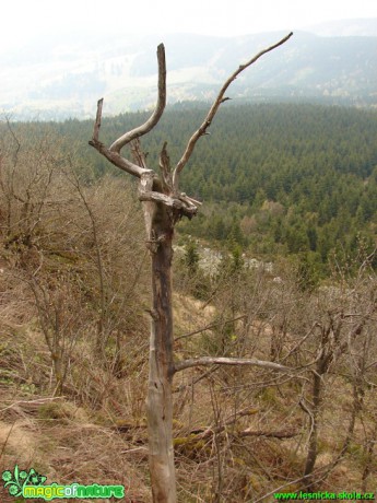 Ještědské terasy - Foto Martina Šmejkalová