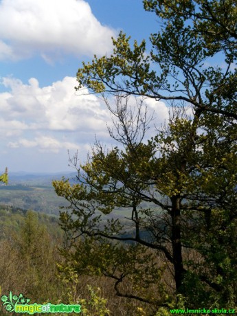 Mraky nad krajinou - foto Martina Šmejkalová (1)