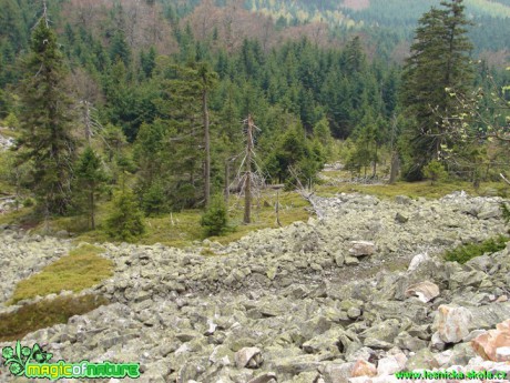 Pod Ještědem - Foto Martina Šmejkalová