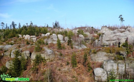 Skalní město - Broumovsko - Foto Radka Mizerová (1)