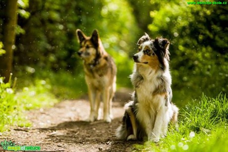 Malá přeháňka - Foto Jiří Křivánek