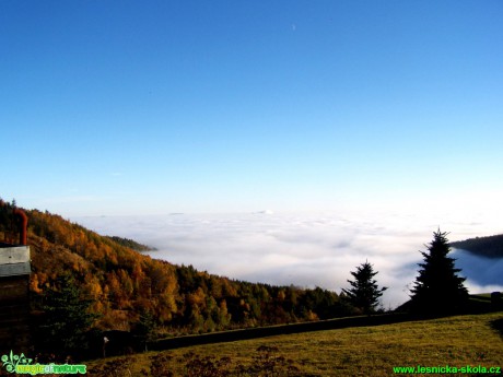 Inverze v Krušných horách - Foto David Hlinka (5)