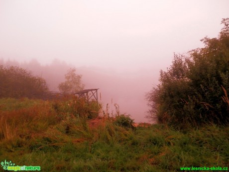 Ráno na kachnách - Foto Lída Burešová