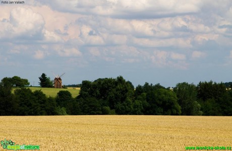 Zemědělská krajina - Foto Jan Valach (3)