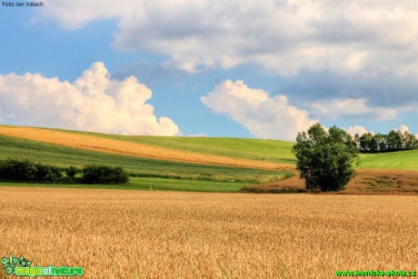 Zemědělská krajina - Foto Jan Valach (7)