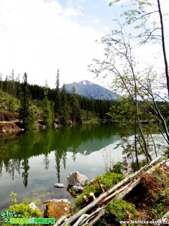 V Tatrách - Štrbské Pleso - Foto Lída Burešová