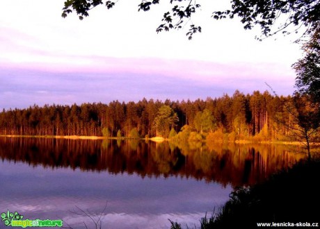 Lesní rybník - Foto Lída Burešová