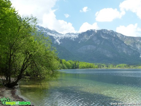 Slovinsko - jezero Bohijn - jezero Bled - cesta kolem řeky Krka - Foto Lukáš Málek (2)