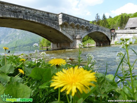 Slovinsko - jezero Bohijn - jezero Bled - cesta kolem řeky Krka - Foto Lukáš Málek (7)