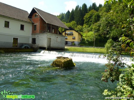 Slovinsko - jezero Bohijn - jezero Bled - cesta kolem řeky Krka - Foto Lukáš Málek (9)