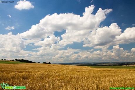 Zemědělská krajina - Foto Jan Valach (4)