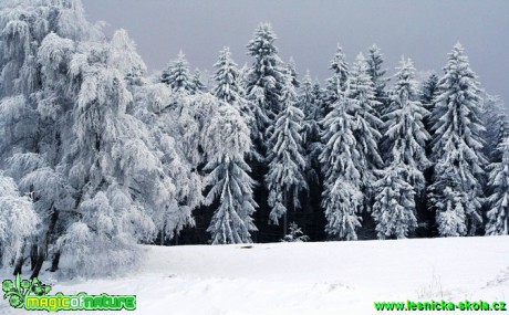 Zátiší pod Hrazeným (4) - Foto Lukáš Janata